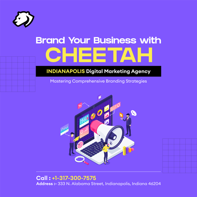 Indianapolis Digital Marketing Agency Picture Box