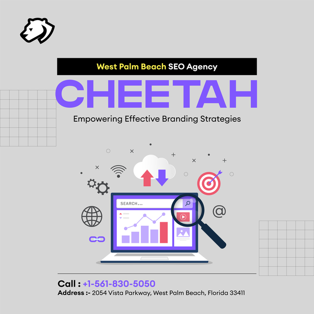 West Palm Beach SEO Agency Picture Box