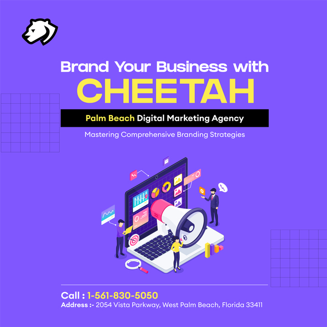 Palm Beach Digital Marketing Agency Picture Box