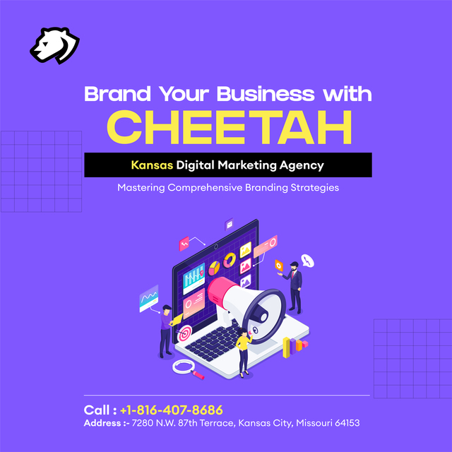 Kansas City Digital Marketing Agency Picture Box