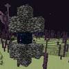 How to Use Minecraft End Gateway Finder