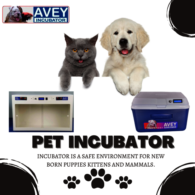 Get the Best Incubator for Newborn Puppies Picture Box