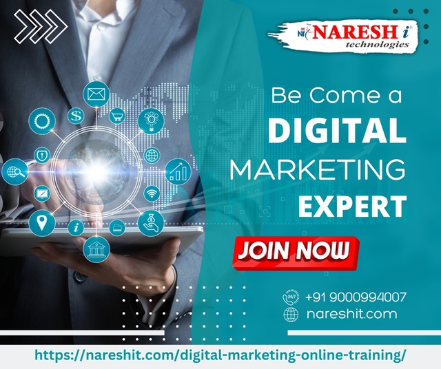 Digital Marketing Online Trainin Picture Box
