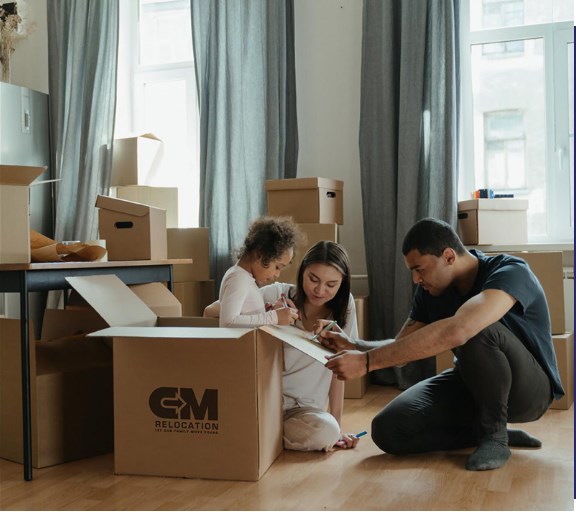 Moving To Denmark Picture Box