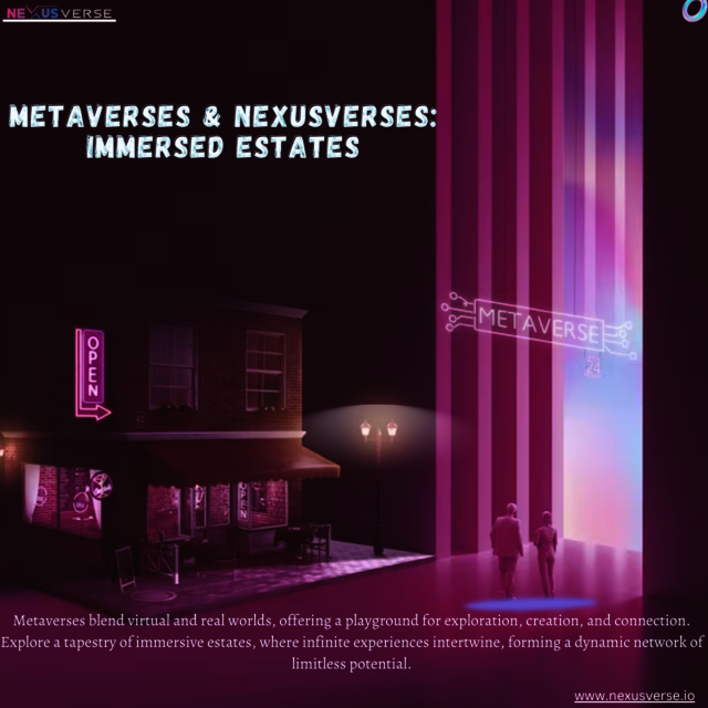 Metaverses and Nexusverses Immersed Estates Picture Box