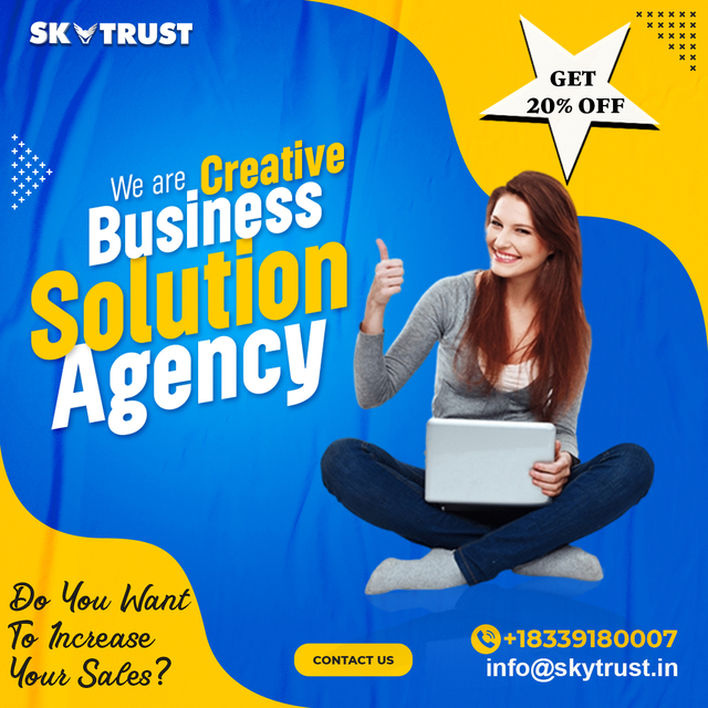 Best Digital Marketing Company in Delhi  Skytrust Picture Box