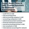 Expert Audit Firms in UAE: ... - Picture Box