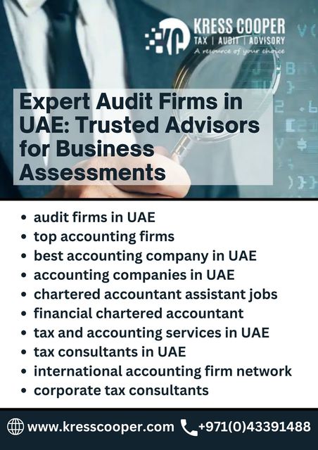 Expert Audit Firms in UAE: Trusted Advisors for Bu Picture Box