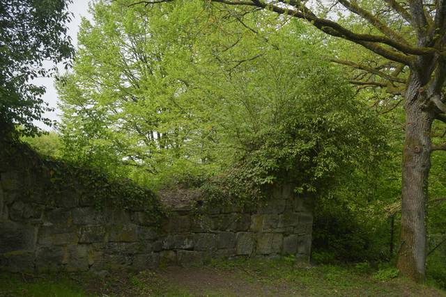  DSC9684 balingehofforum