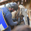  DSC5403 - balingehofforum