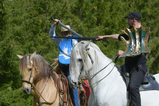  DSC5519 balingehofforum