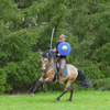  DSC5778 - balingehofforum