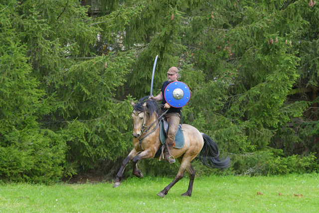  DSC5778 balingehofforum