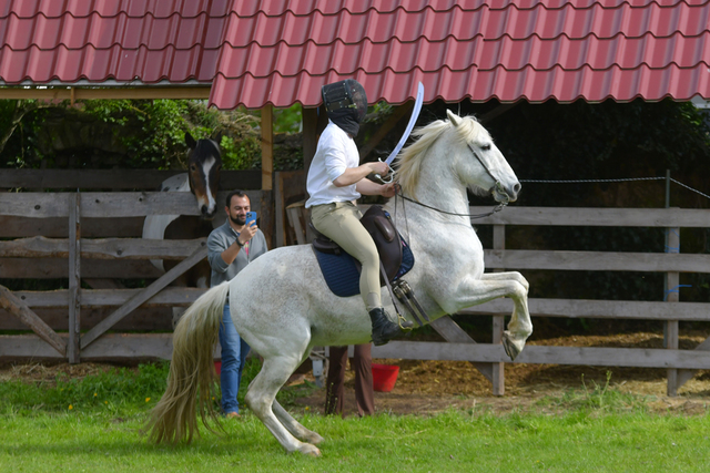  DSC6231 balingehofforum