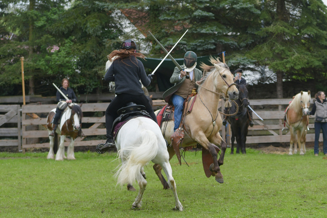  DSC6977 balingehofforum