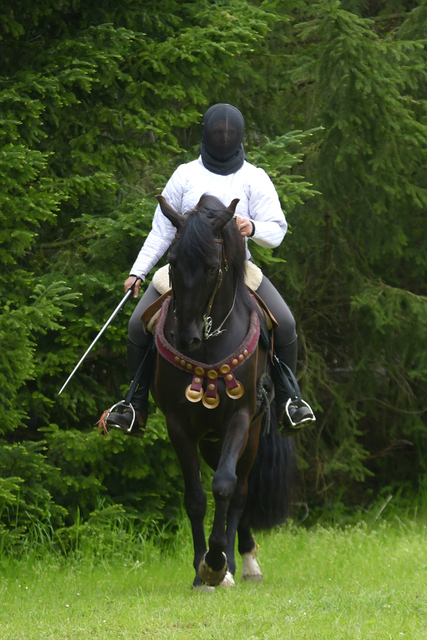  DSC7210 balingehofforum