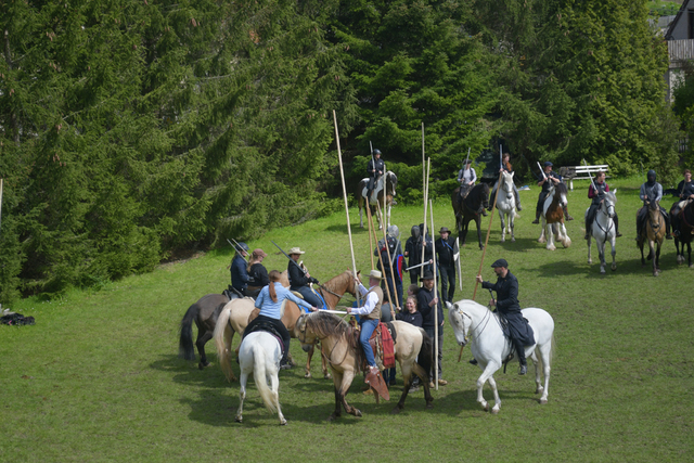  DSC7729 balingehofforum