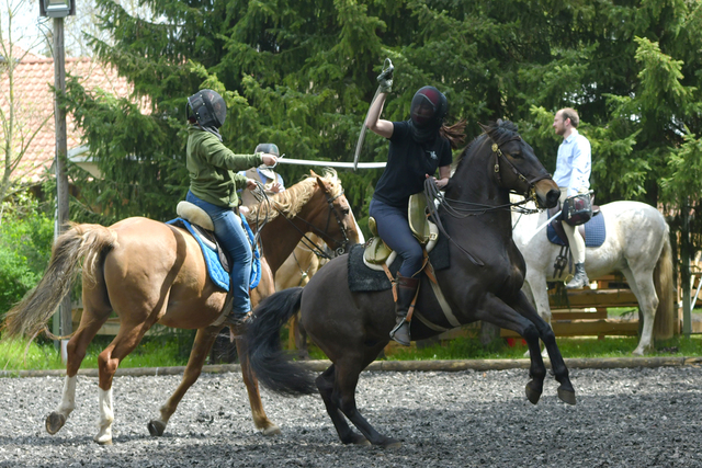  DSC8876 balingehofforum