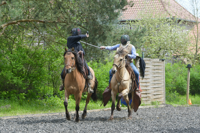  DSC9008 balingehofforum