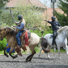  DSC9044 - balingehofforum