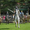  DSC6029c - balingehofforum