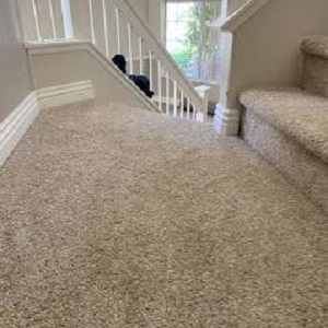 carpet installer IZ Flooring