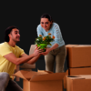 packers-and-movers-in-hyder... - Picture Box