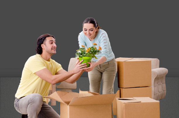 packers-and-movers-in-hyderabad-removebg-preview ( Picture Box