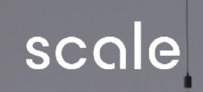 logo Scale