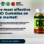 64a9dc9de583c - How Bliss Blitz CBD Gummies Can Make You A Healthy Person?