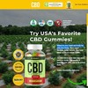 Bliss Blitz CBD Gummies | Normal Fixings CBD At Low Cost