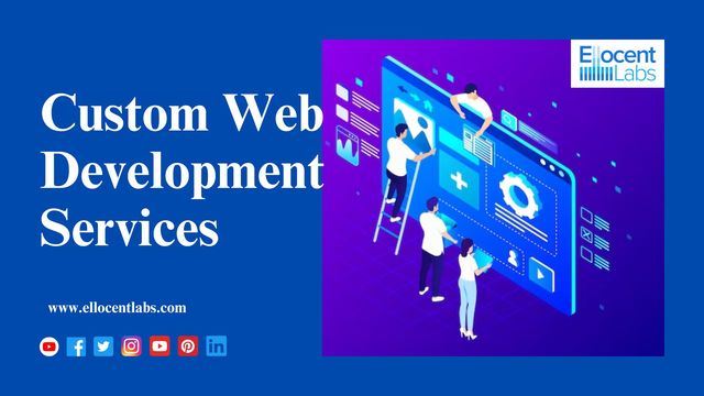 Custom Web Development Picture Box