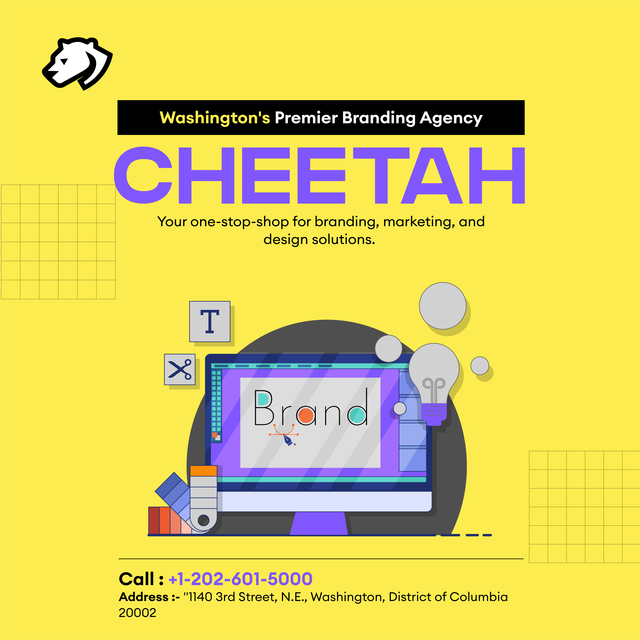 Washington DC Branding Agency Picture Box