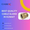 Best Quality Cable Gland in... - Picture Box