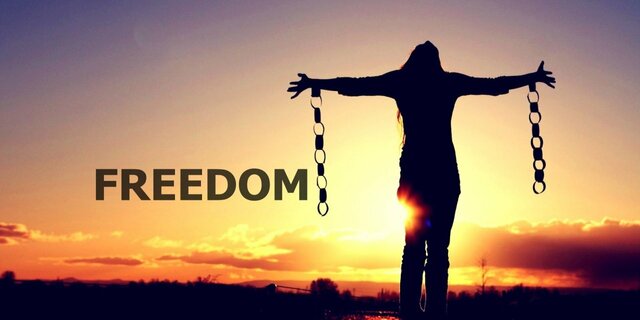 freedom AA Bail Bonds