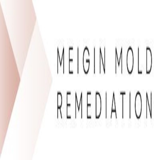 512 Meigin Mold Remediation