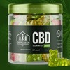 What Are Right Strategy To Take Evergreen CBD Gummies?