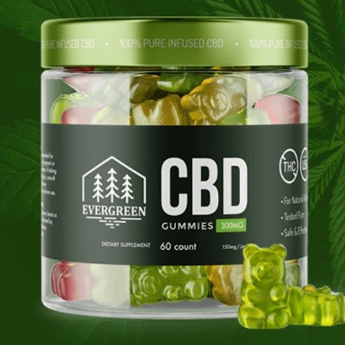 artworks-5hOJmNGmvo88fVeX-gvr0LQ-t500x500 What Are Right Strategy To Take Evergreen CBD Gummies?