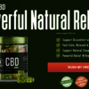 Evergreen CBD Gummies: It Is Health Beneficial Supplement