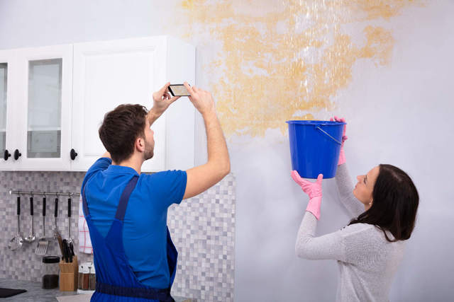 Image-1 Grahm Damage Repairs