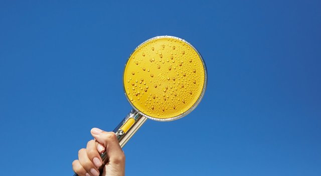 hai Smart Shower Head Favorites