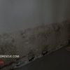 Black Mold Drywall - Mold Rescue