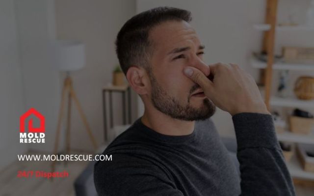 What to do if you breathe in mold Mold Rescue