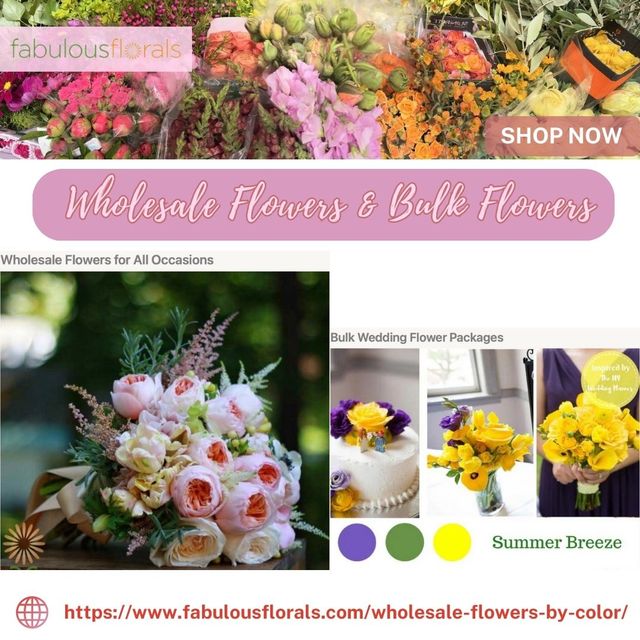 Wholesale Flowers & Bulk Flowers Picture Box