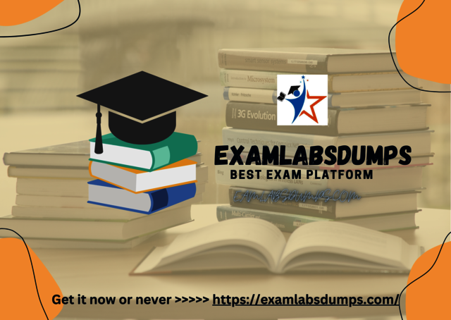 Unravelling the Secrets of Exam Labs Dumps for Top Picture Box