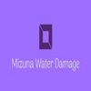 Mizuna Water Damage