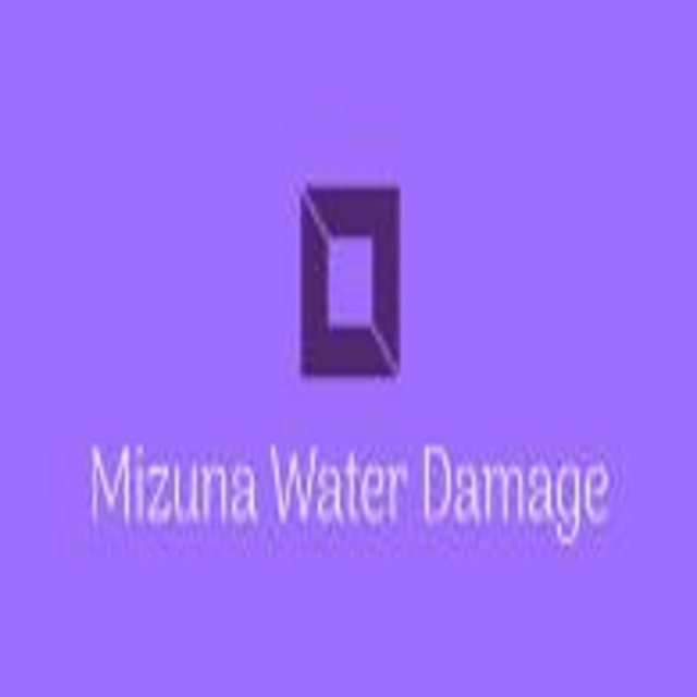 800 Mizuna Water Damage