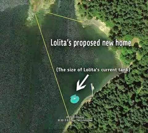 117314601 10158179487545862 4997824601488816601 n - 