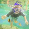 kid snorkeling with fish