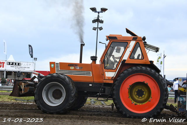 19-08-2023 Hoogblokland 267-BorderMaker 19-08-2023 Hoogblokland